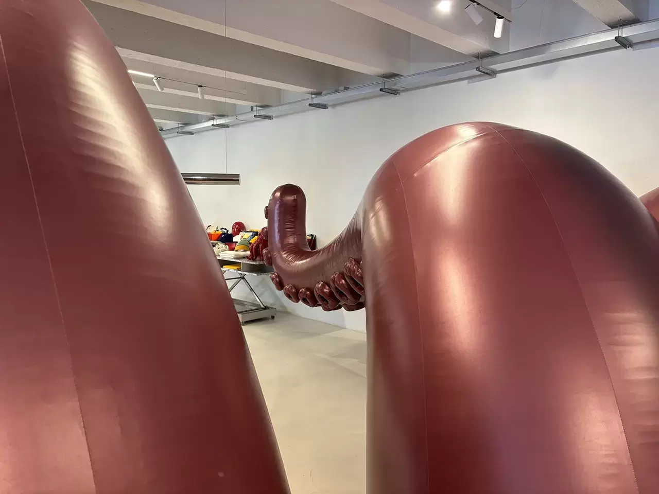 Tentacoli interni