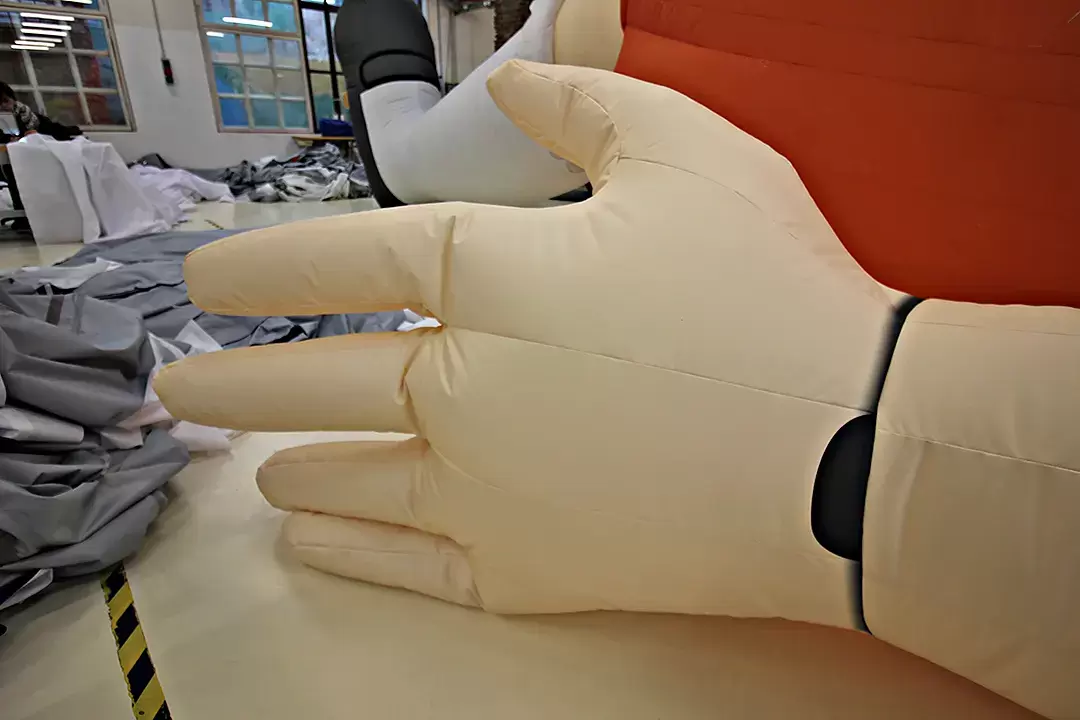 Dettaglio della mano