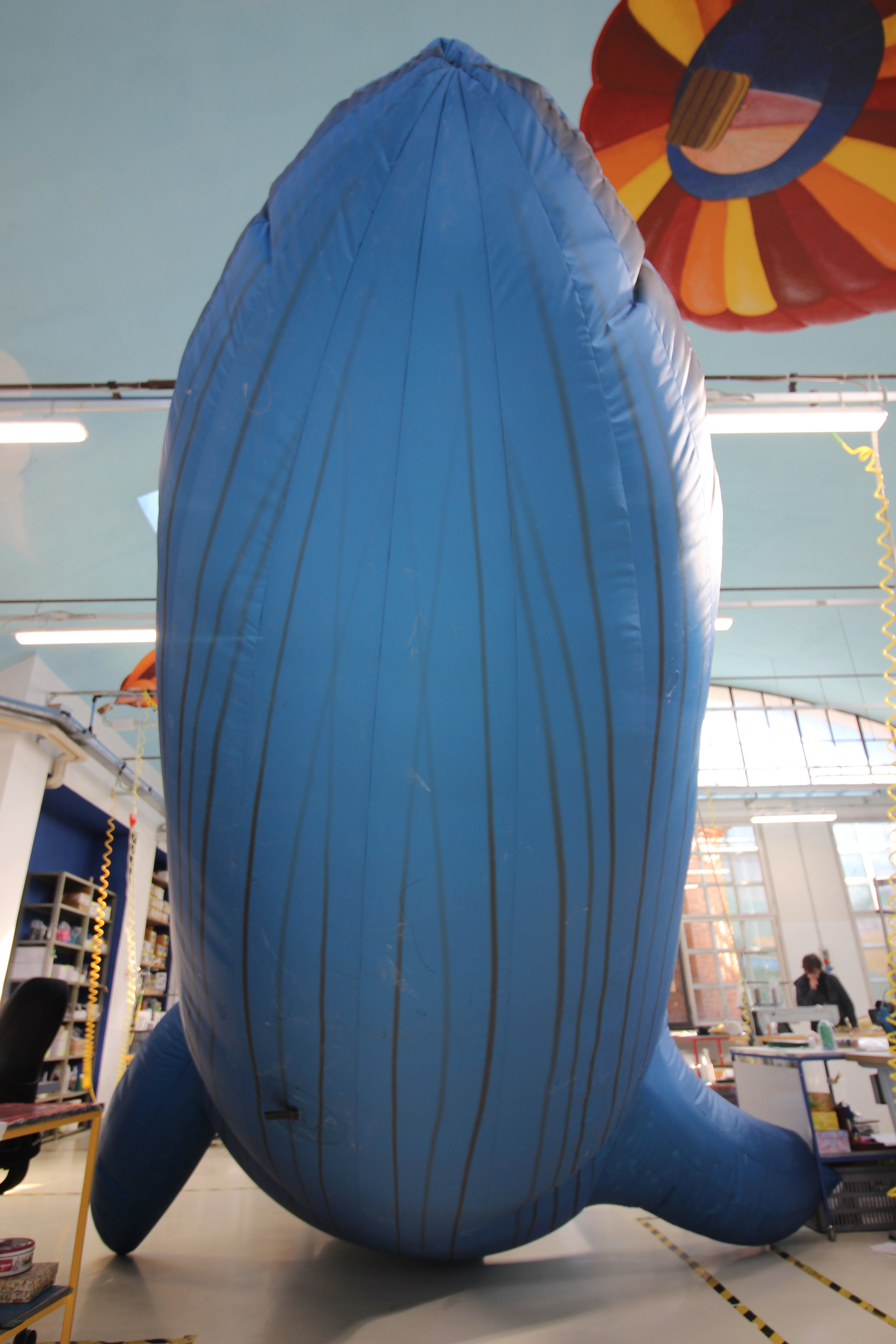 Dettaglio del ventre della balena